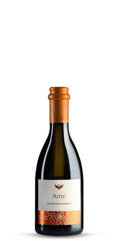 prosecco millesimato rose brut zago